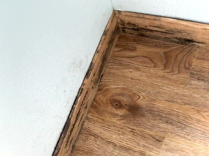 วิธีกำจัดเชื้อราออกจากกระดานข้างก้น?