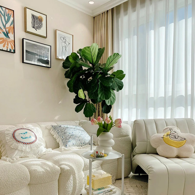 ข้อดีและข้อเสียของโคลนไดอะตอมมีอะไรบ้าง?