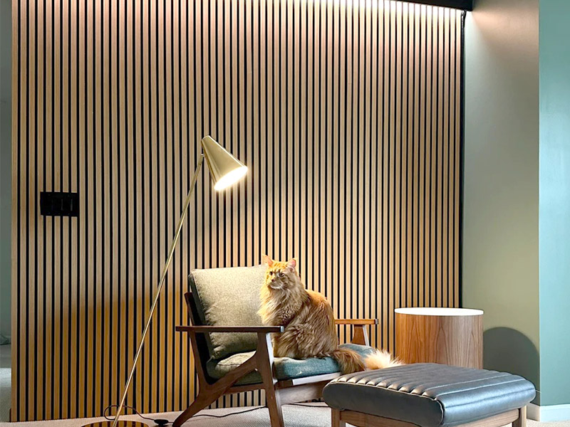 เป็นความคิดที่ดีที่จะติดตั้งแผงผนัง slatted หรือไม่?