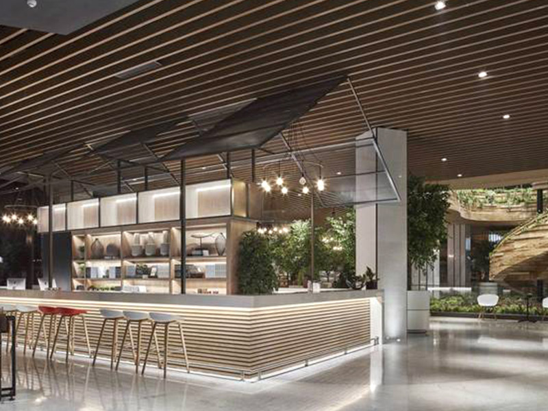 คู่มือที่ครอบคลุมเกี่ยวกับแผ่นกั้นเพดาน