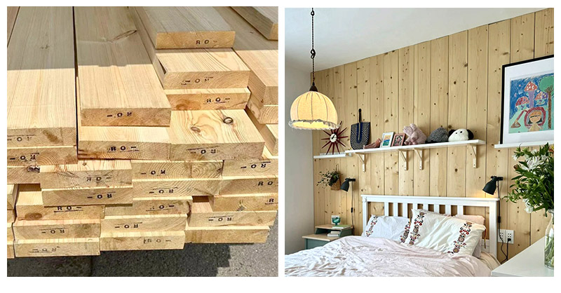 บัญชีรายชื่อไม้สน