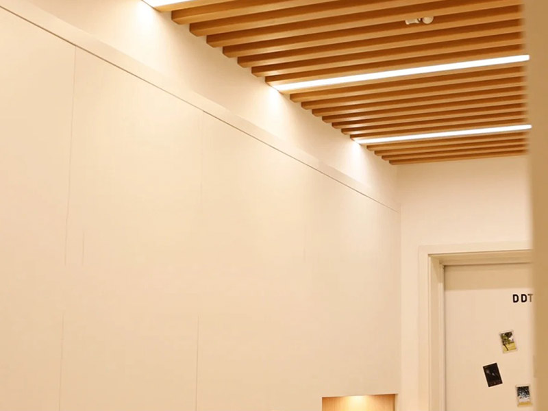 วัสดุอะไรที่ใช้สำหรับเพดาน?